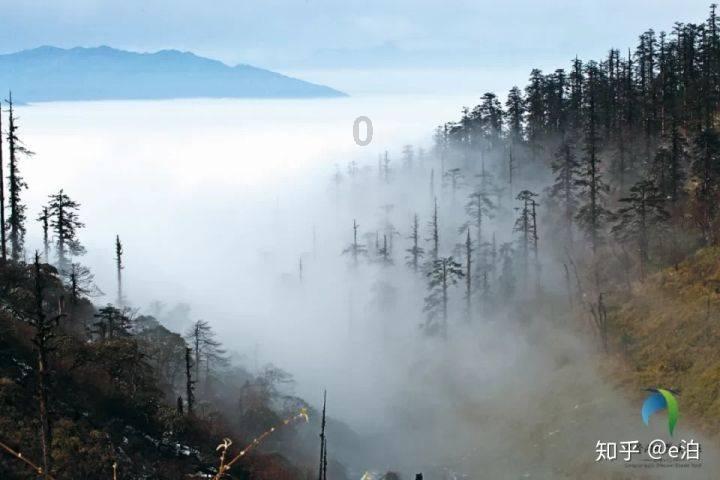 好人和坏人有什么区别?游戏画面