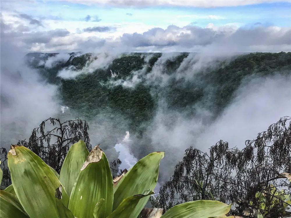 秘密基地找不同