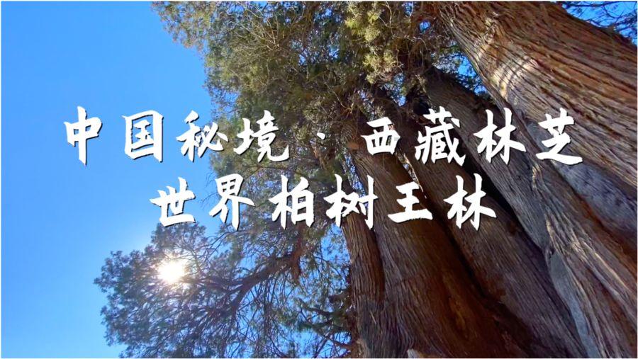 男朋友跟自己的三观很不同怎么办？游戏画面